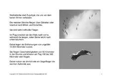 Fehlerlesen-Weißstorch-Lesetext-Sw-4.pdf